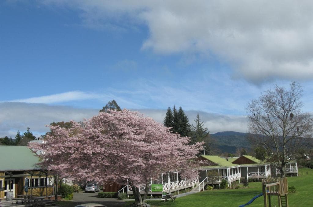 Turangi Bridge Motel beside the Tongariro River