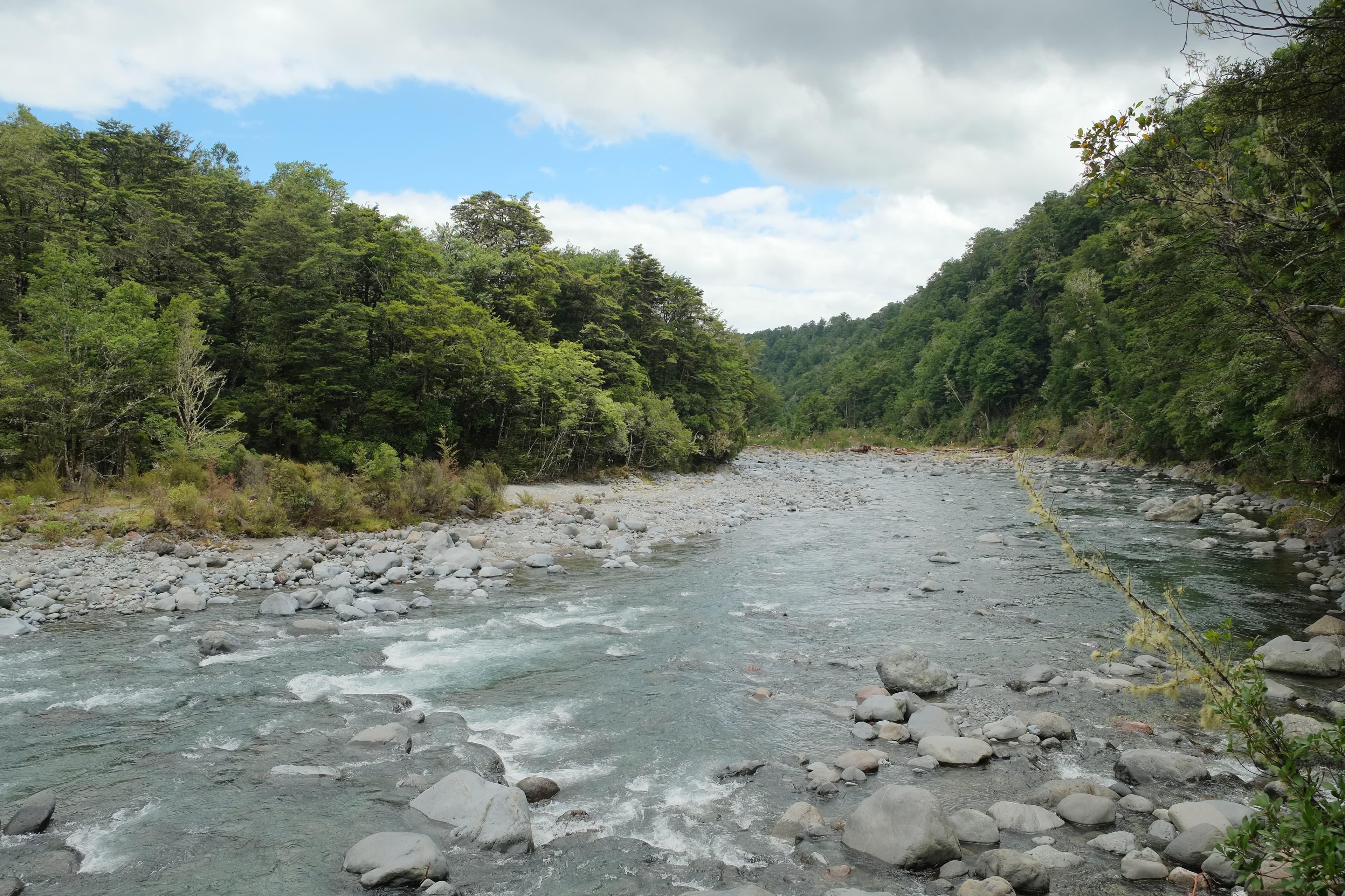 The Tongariro River at first light